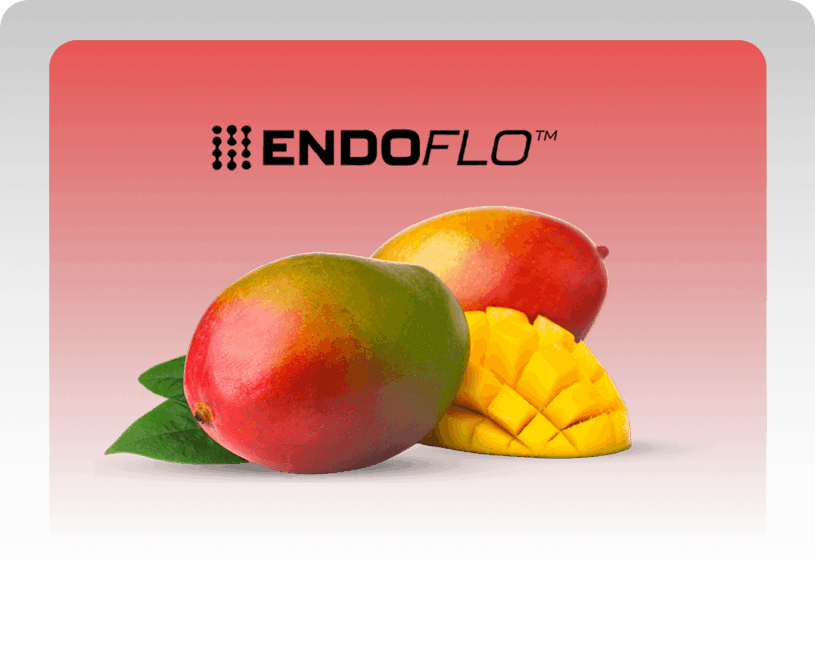 EndoFlo Top T