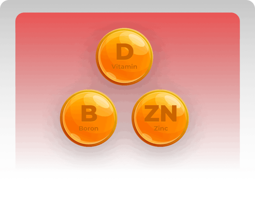 Micronutrient Matrix Top T